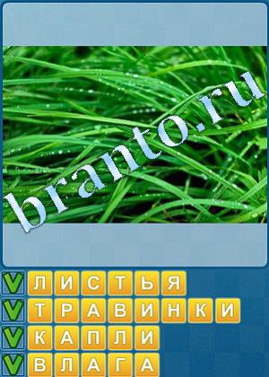 Найди слова решения Уровень 547