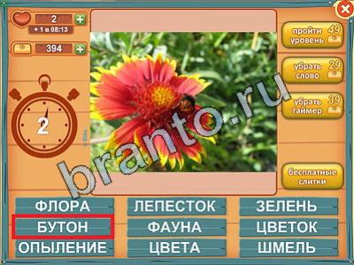 прохождение на игру Лишнее слово Уровень 169 собачка с бантом