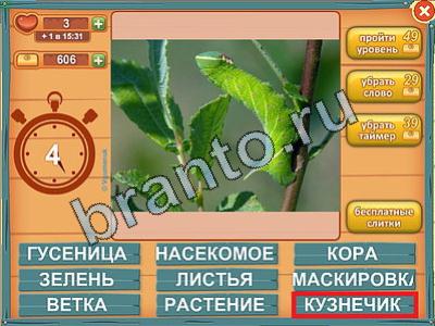 ответы на игру Лишнее слово Уровень 293