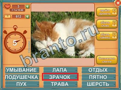 ответы на игру Лишнее слово Уровень 295