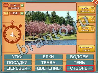 ответы к игре Лишнее слово Уровень 355