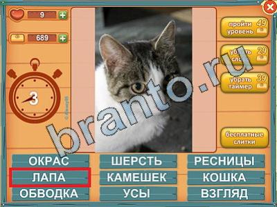 Лишнее слово? ответы Уровень 358