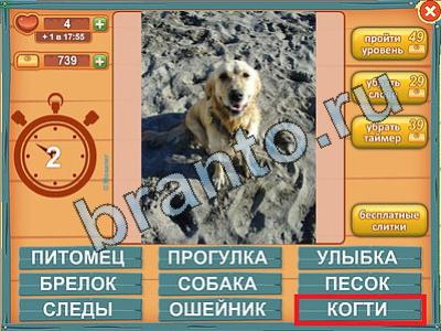 ответы Лишнее слово в одноклассниках Уровень 376