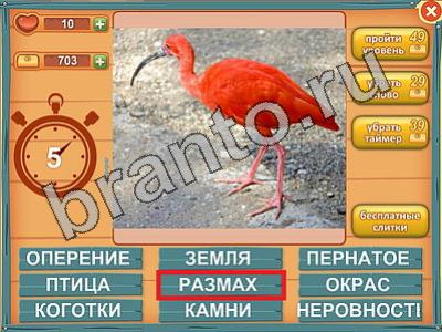 Лишнее слово? ответы Уровень 558