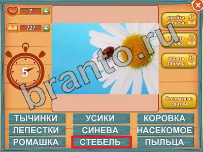 Лишнее слово ответы в картинках Уровень 566