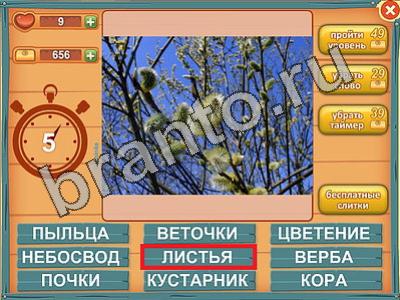 ответы для игры Лишнее слово Уровень 577