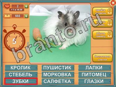 прохождение на игру Лишнее слово Уровень 581 шлагбаум