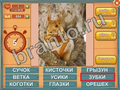 ответы на игру Лишнее слово Уровень 587