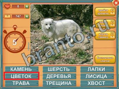 Лишнее слово игра подсказки Уровень 414