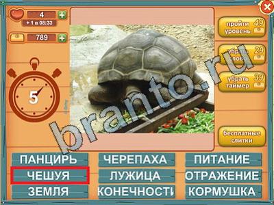 решения для игры Лишнее слово Уровень 428