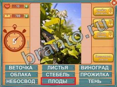 ответы к игре Лишнее слово Уровень 446