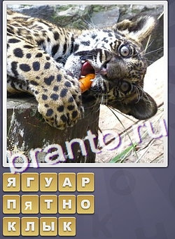 игра Собираем слова подсказки одноклассники буква Я