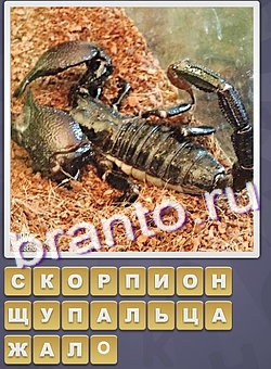 игра Собираем слова помощь одноклассники