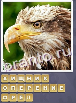 игра Собираем слова помощь одноклассники