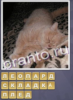 игра Собираем слова відповіді в одноклассниках уровень 191