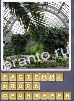 Собираем слова игра ответы одноклассникионтакте уровень 283