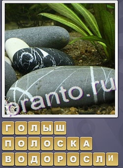 ответы на игру Собираем слова уровень 117