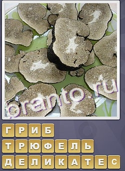 ответы на игру Собираем слова уровень 118