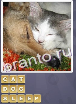 ответы на игру Собираем слова буква С