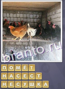 ответы на игру Собираем слова одноклассникионтакте уровень 257