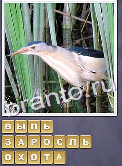 приложение Собираем слова ответы на все задания уровень 109