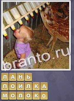 Собираем слова игра відповіді в одноклассниках уровень 198