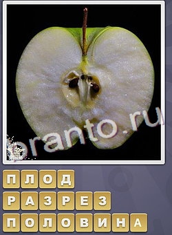 ответы на игру Собираем слова уровень 268