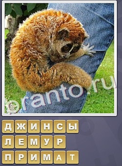 Собираем слова игра ответы одноклассники уровень 133