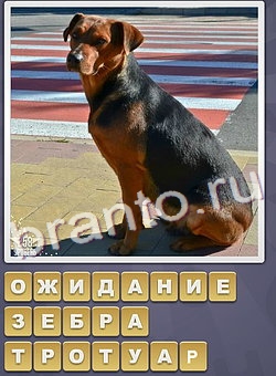 Собираем слова игра ответы одноклассники уровень 240