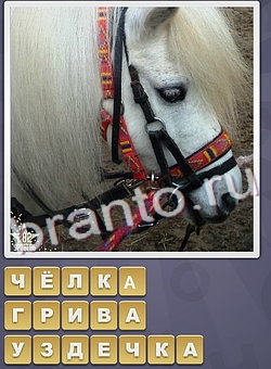 игра Собираем слова подсказки одноклассники буква Ч