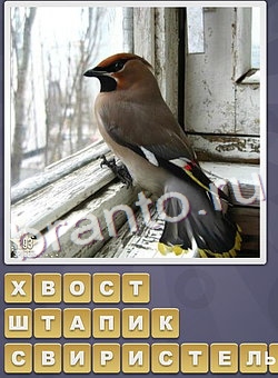 игра Собираем слова відповіді в одноклассниках