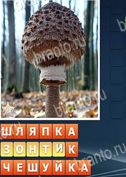 ответы на игру Найди слова 2 ВКонтакте уровень 3917