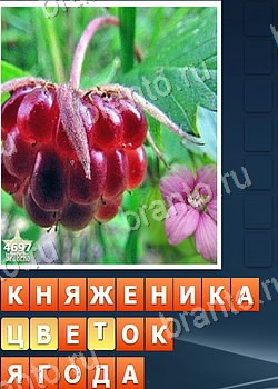 ответы на игру Найди слова 2 ВКонтакте уровень 4697