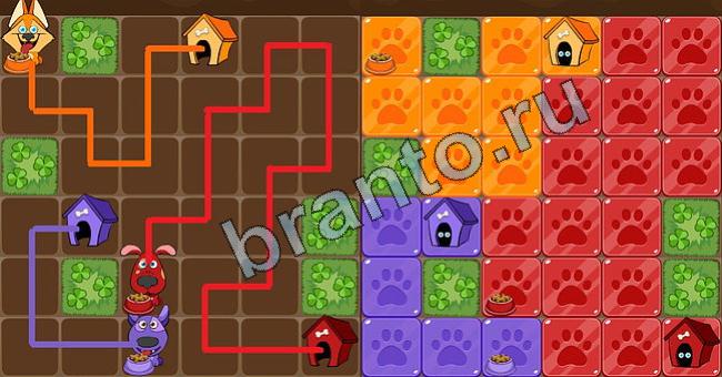 Подсказки на игру Пёс Флоу Уровень 202