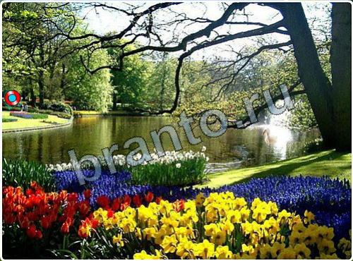 ответы на игру Побег из зоопарка уровень 81