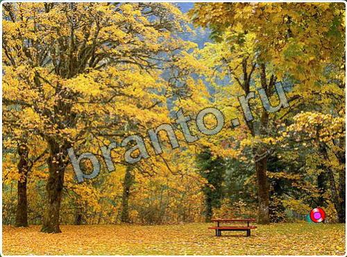 Подсказки на игру Побег из зоопарка уровень 82