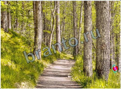 Решения на игру Побег из зоопарка уровень 83