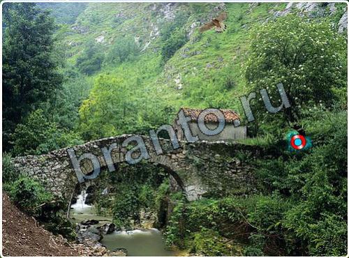 Помощь на игру Побег из зоопарка уровень 84