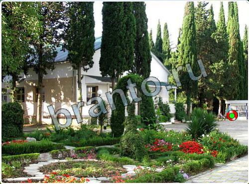 ответы к игре Побег из зоопарка уровень 85