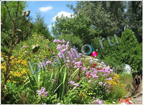 Побег из зоопарка игра ответы в одноклассниках уровень 87