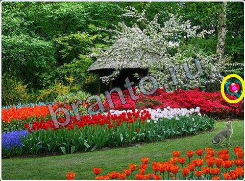 Побег из зоопарка ответы уровень 88