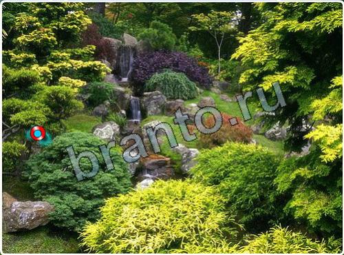 решебник на игру Побег из зоопарка уровень 91