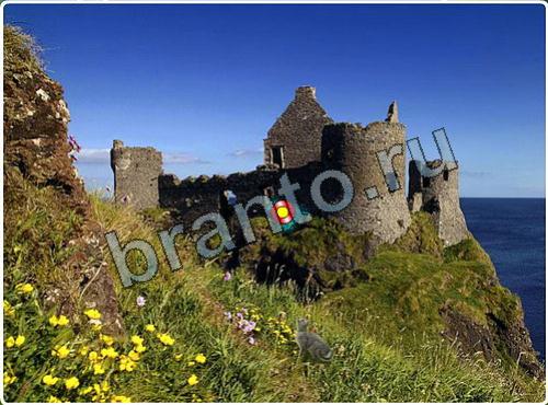 Побег из зоопарка игра ответы уровень 93