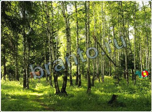 Игра Побег из зоопарка подсказки уровень 98