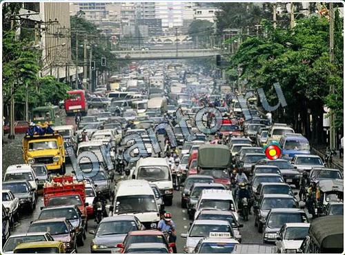 игра Побег из зоопарка помощь уровень 99