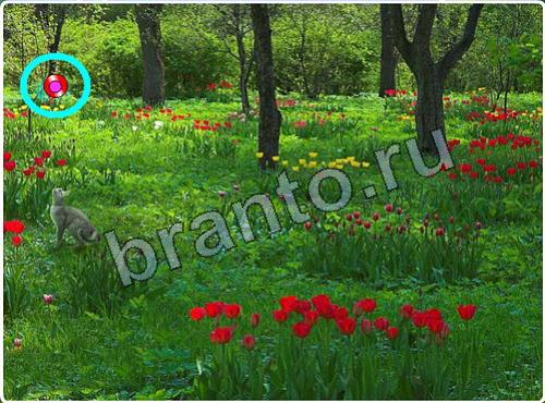 Игра Побег из зоопарка прохождение уровень 100