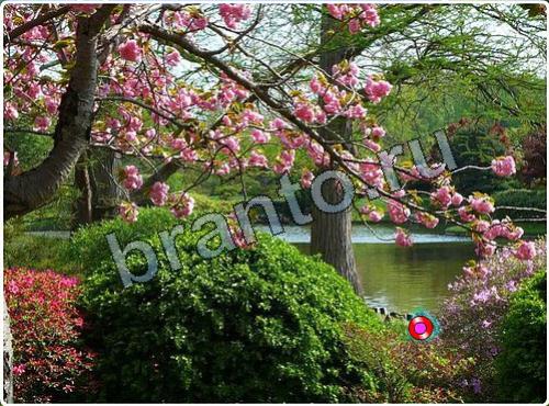 Побег из зоопарка прохождение игры уровень 102