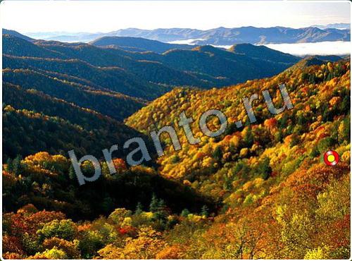 Прохождение игры Побег из зоопарка уровень 104