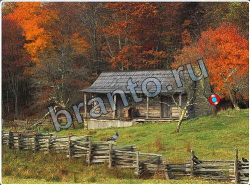 ответы Побег из зоопарка уровень 105