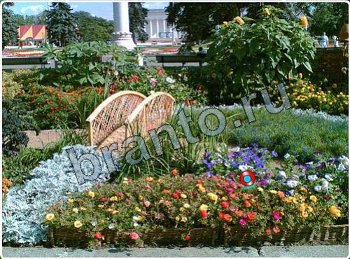 ответы Побег из зоопарка в одноклассниках уровень 106